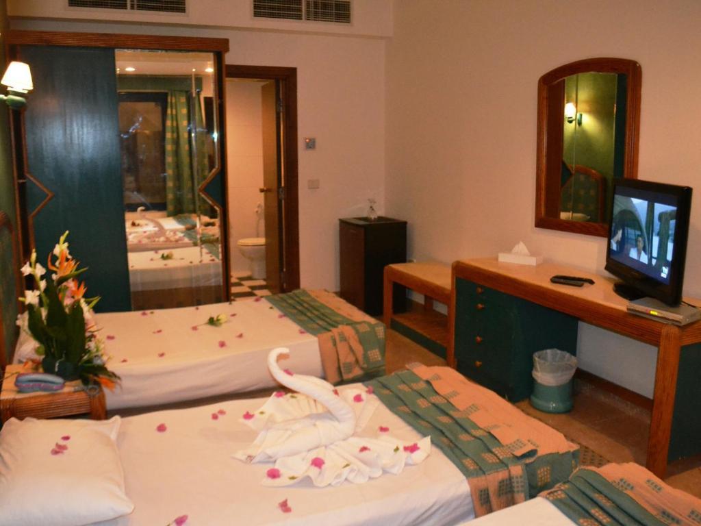 Aida 2 Hotel Naama Bay シャルム・エル・シェイク 部屋 写真